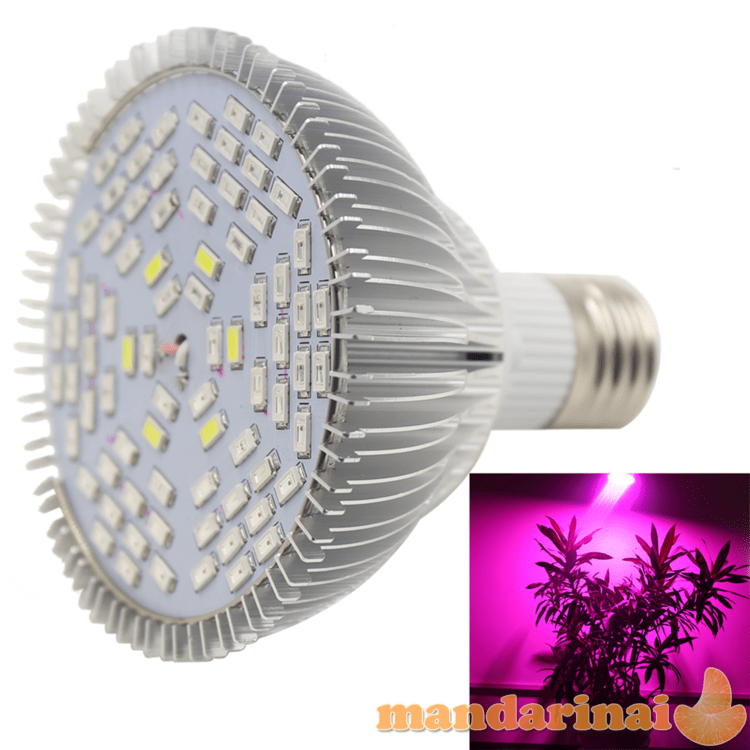 Pilno spektro 50W lempa augimui ir žydėjimui skatinti