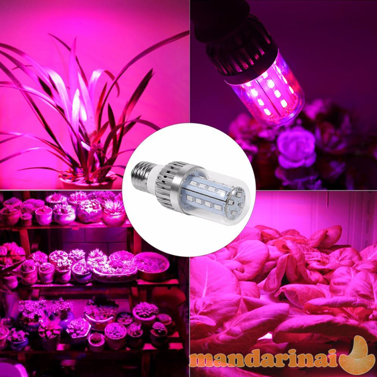 Pilno spektroKukurūzo tipo 60W lempa augalams