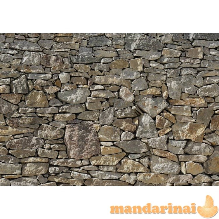 Komar foto siena stone wall, 368x254 cm