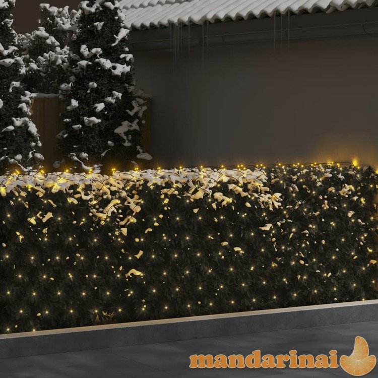 Kalėdinių lempučių tinklas, 3x3m, 306 šiltos baltos led