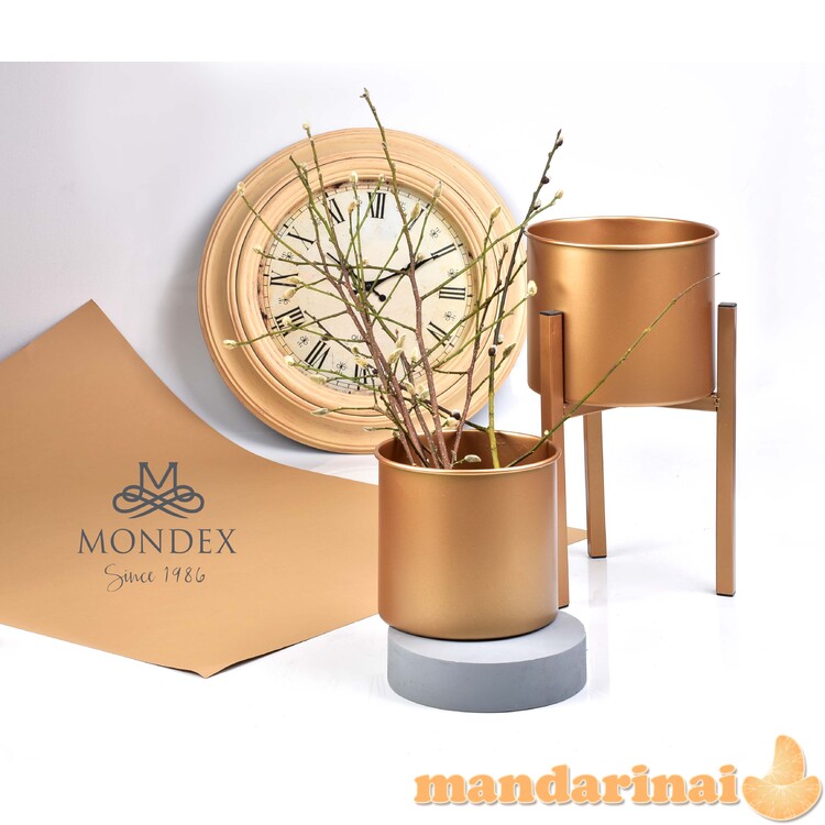 „Swen“ rinkinys iš 2 korpusų ant stendo L: 24xh45 m:  1