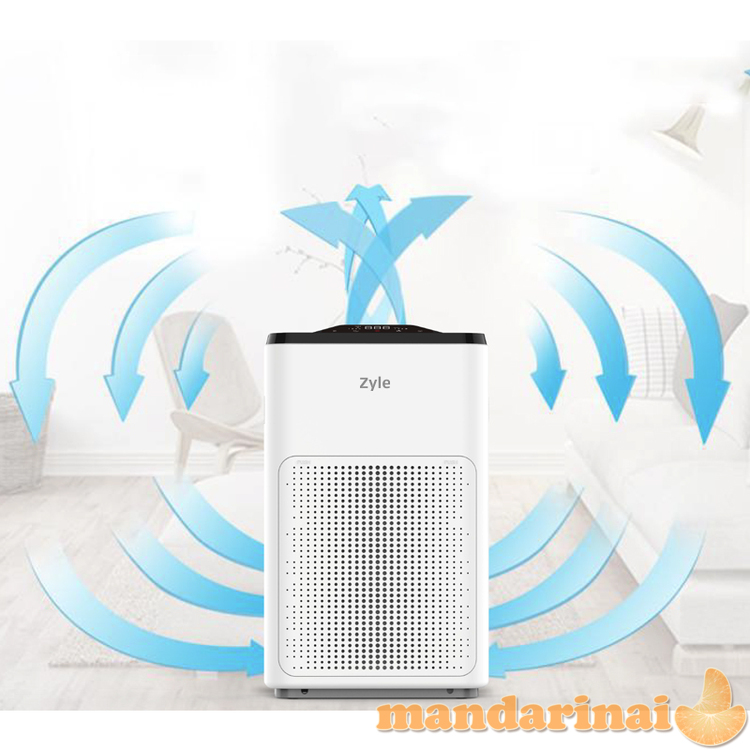 Oro valytuvas Zyle 