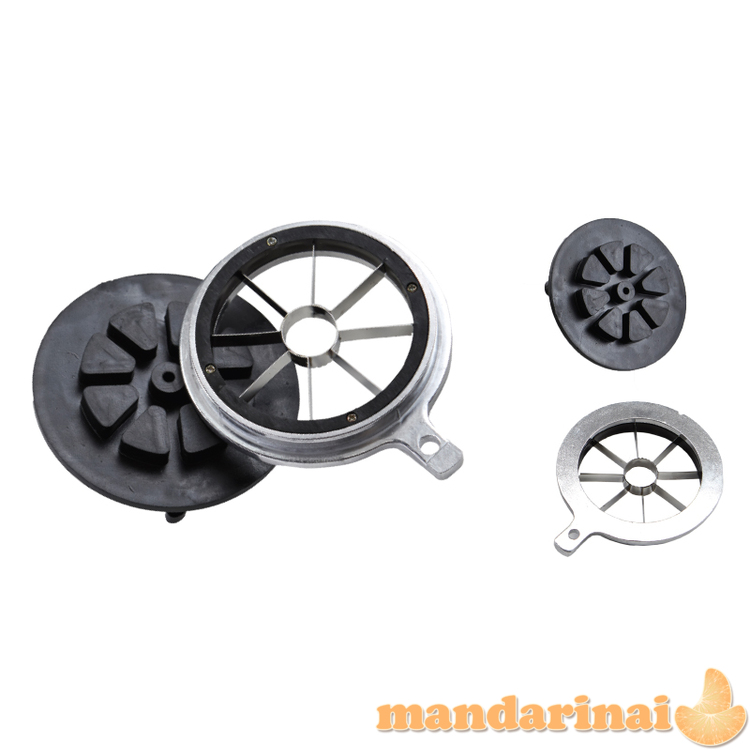 Profesionali citrus. vaisių sulčiaspaudė, 