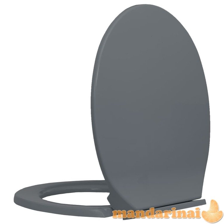 Klozeto sėdynė su soft-close mechanizmu, pilkos spalvos, ovali