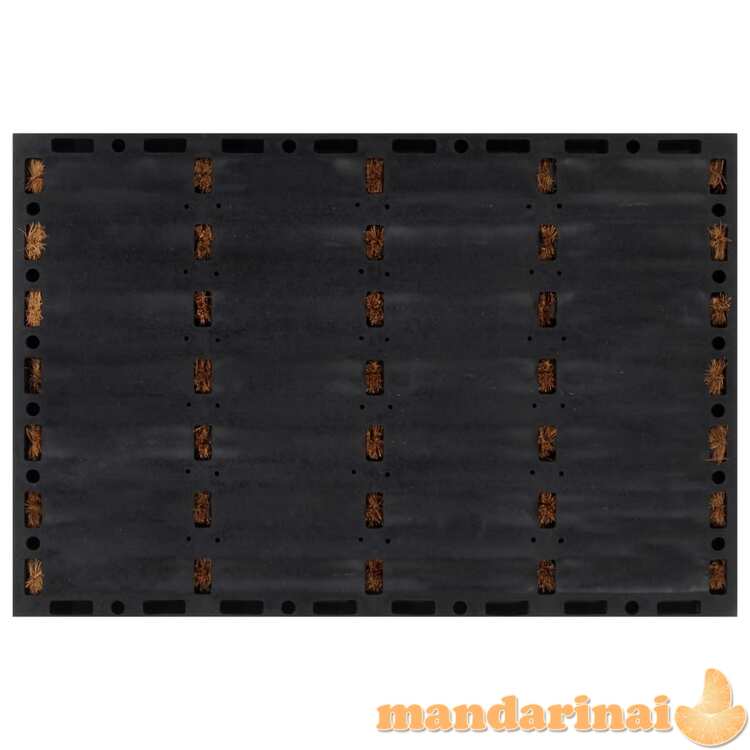 Durų kilimėlis, 40x60cm, guma ir kokoso pluoštas, stačiakampis