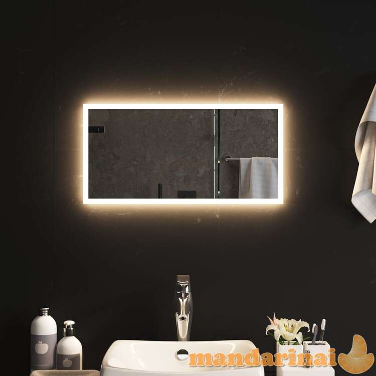 Vonios kambario led veidrodis, 30x60cm