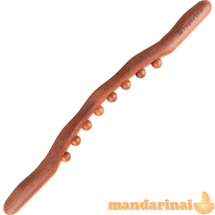 Gremžtukas inSPORTline Jarosa 100 3