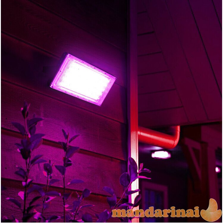 50W pilno spektro šviestuvas augalams