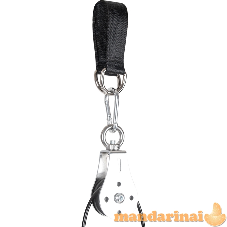 Trosinis traukimo treniruoklis inSPORTline Puley 100