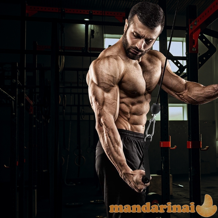 Trosinis traukimo treniruoklis inSPORTline Puley 100