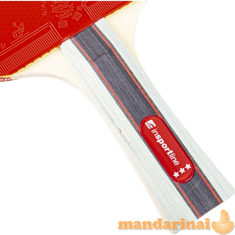 Stalo teniso raketė inSPORTline Shootfair S3