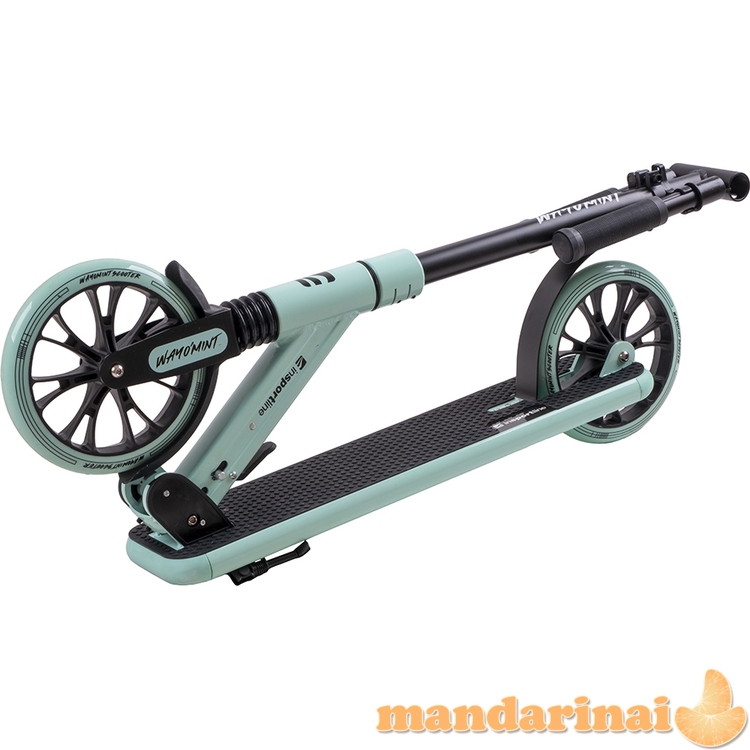 Motoroleris inSPORTline Wayomint