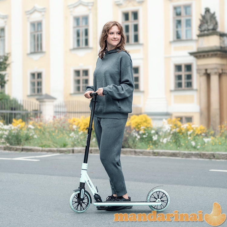 Motoroleris inSPORTline Wayomint