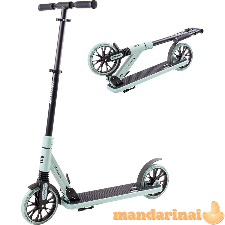 Motoroleris inSPORTline Wayomint