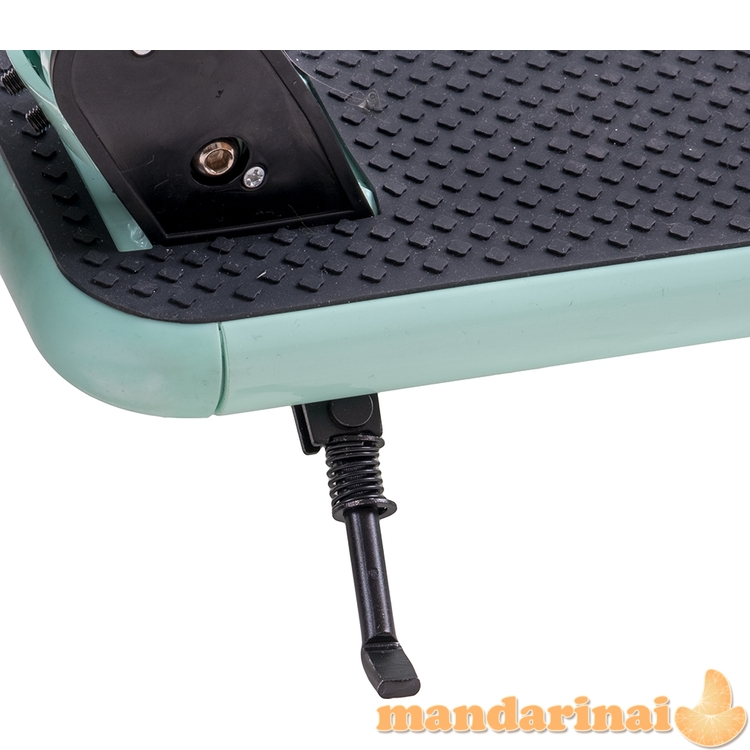 Motoroleris inSPORTline Wayomint