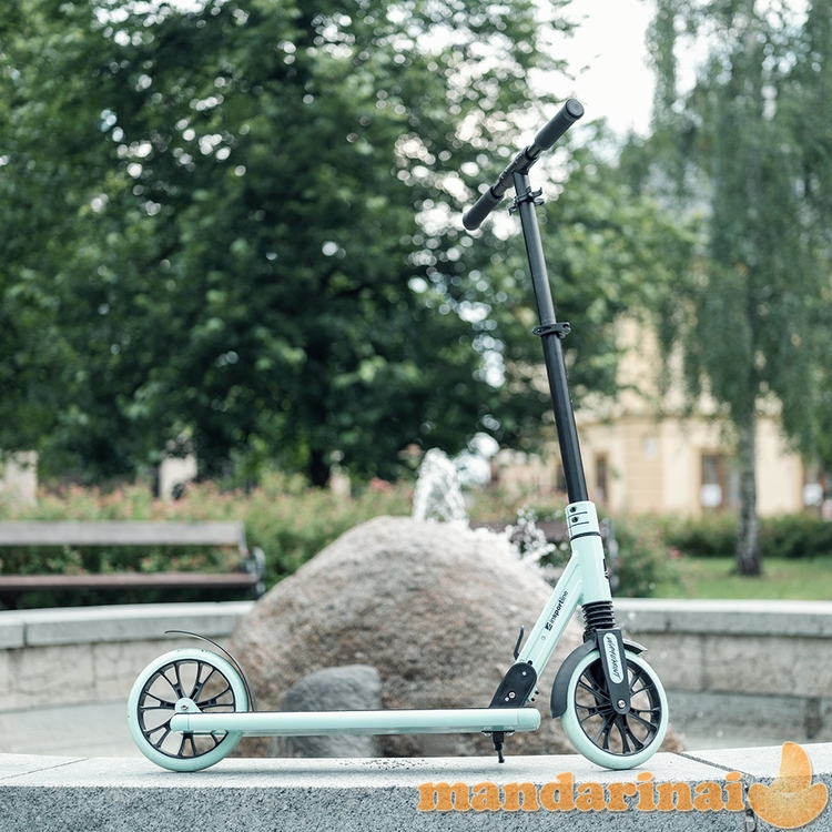 Motoroleris inSPORTline Wayomint