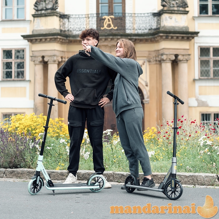 Motoroleris inSPORTline Wayomint