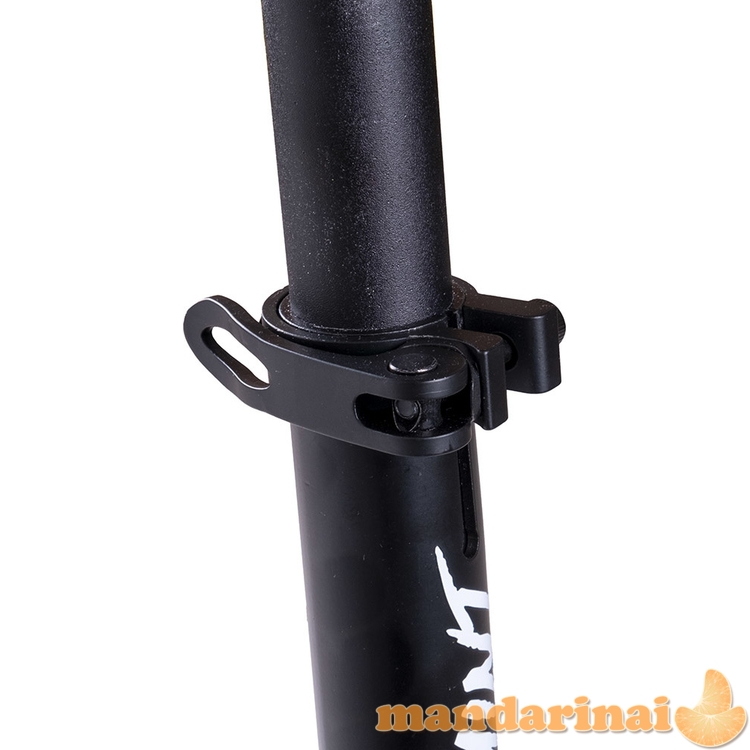 Motoroleris inSPORTline Wayomint