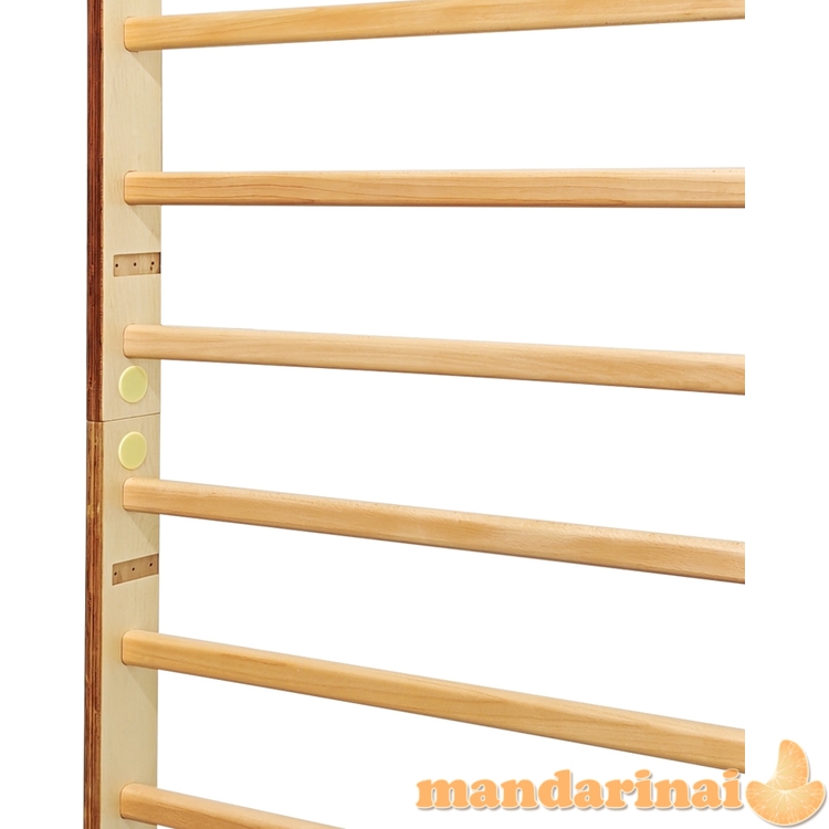 Wall Bars inSPORTline Shapemar 240 x 90 cm