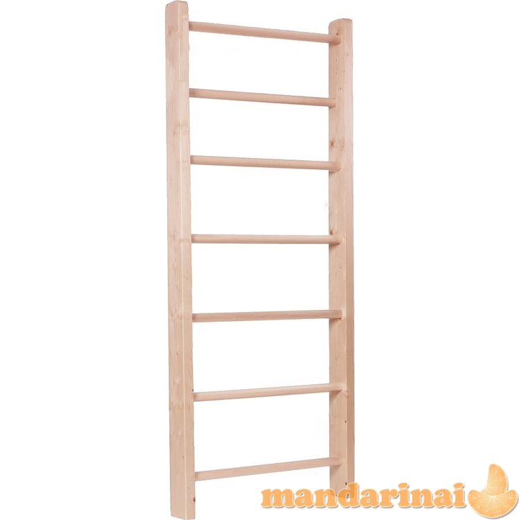 Gimnastikos sienelė inSPORTline Steadyline 220 x 80 cm