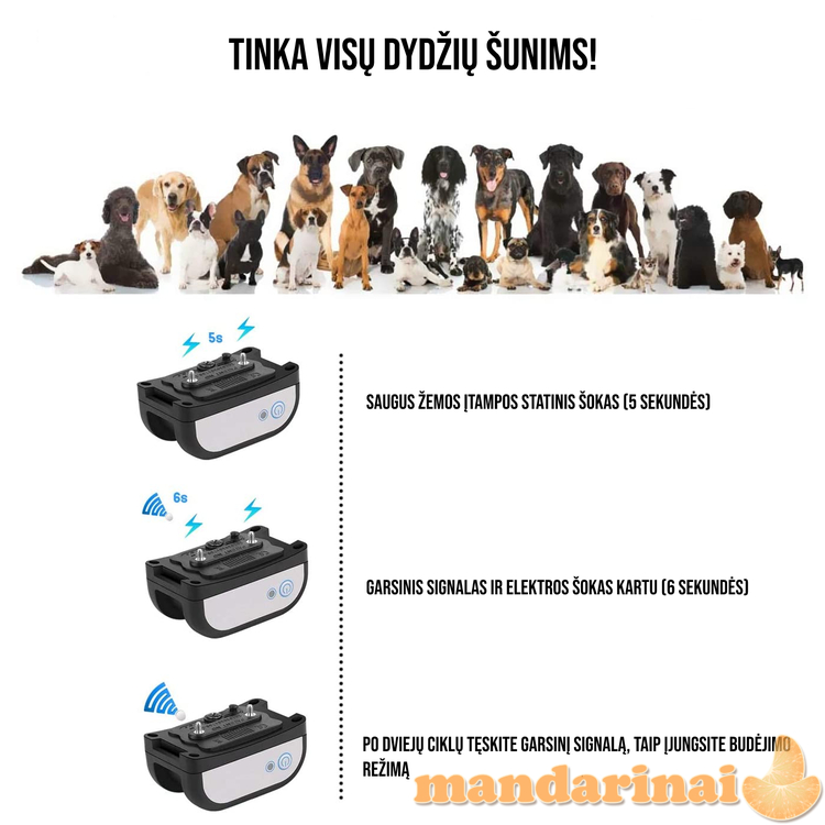 Bevielė tvora šunims