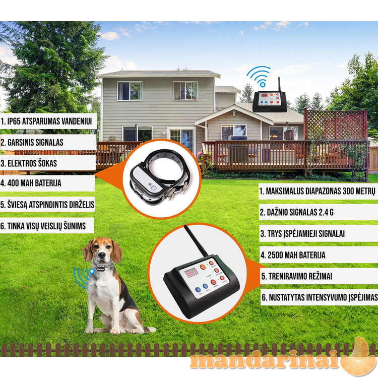 Bevielė tvora šunims