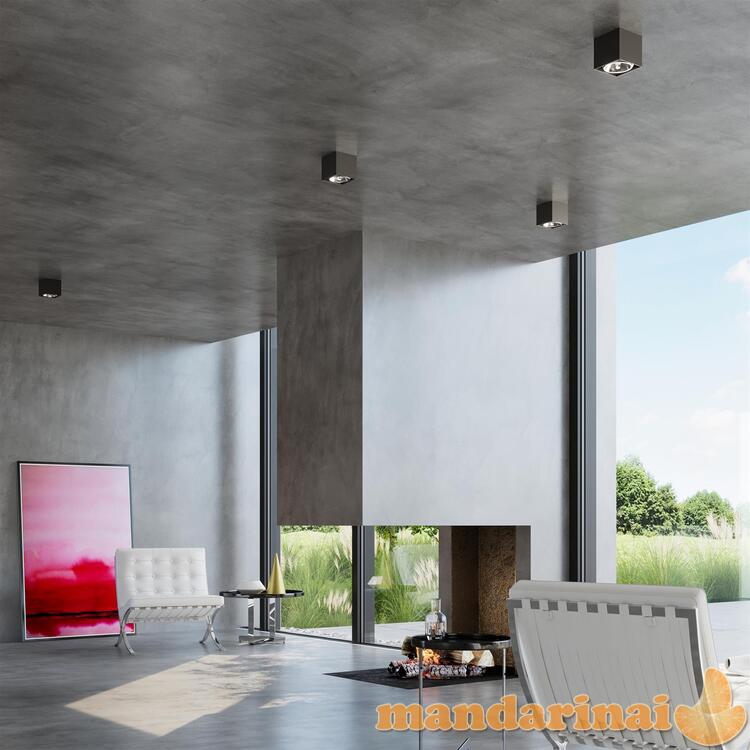 Šviestuvas Blake Black 5