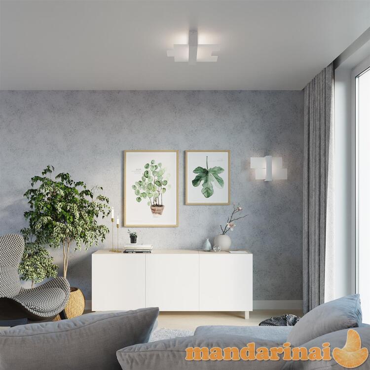 Sieninis šviestuvas fenikai 1 balta