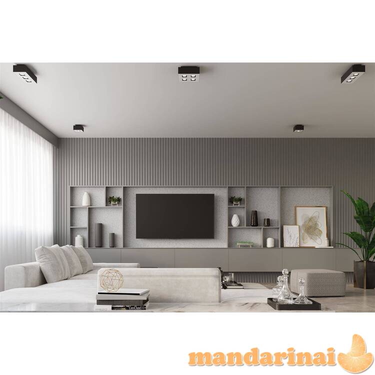 „Šviestuvas Mono 2 Black“