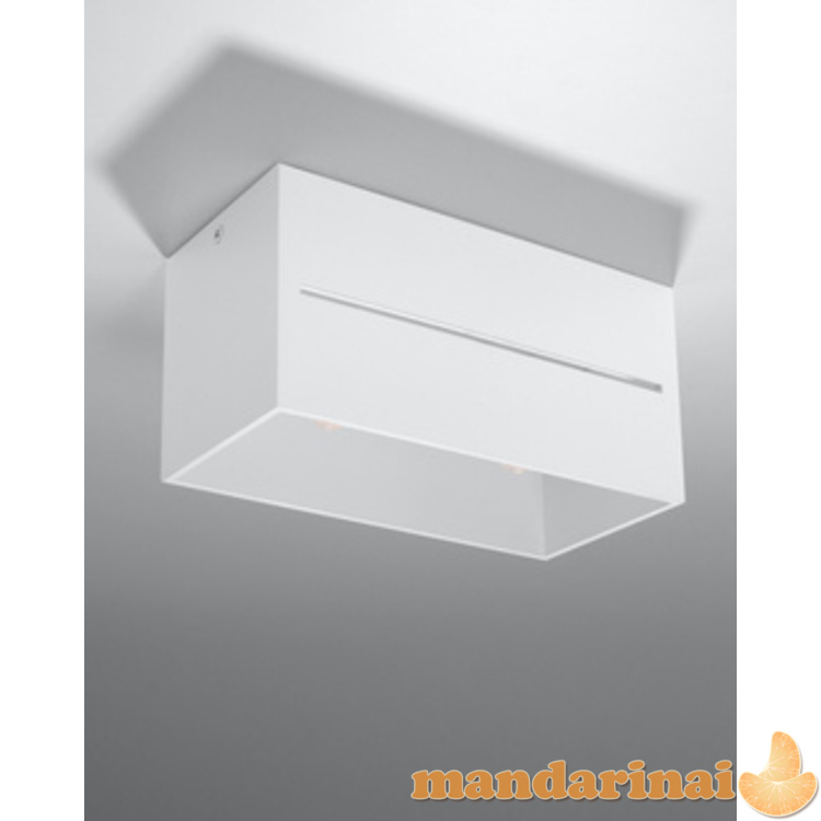 Lubinis šviestuvas lobo 2 balta 8