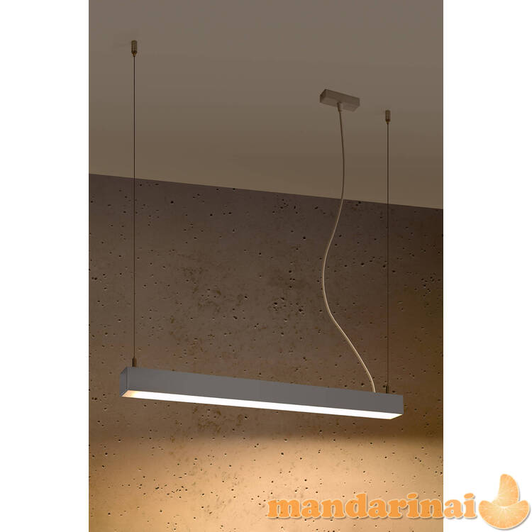 Pakabinama lempa PINNE 67 pilkos spalvos