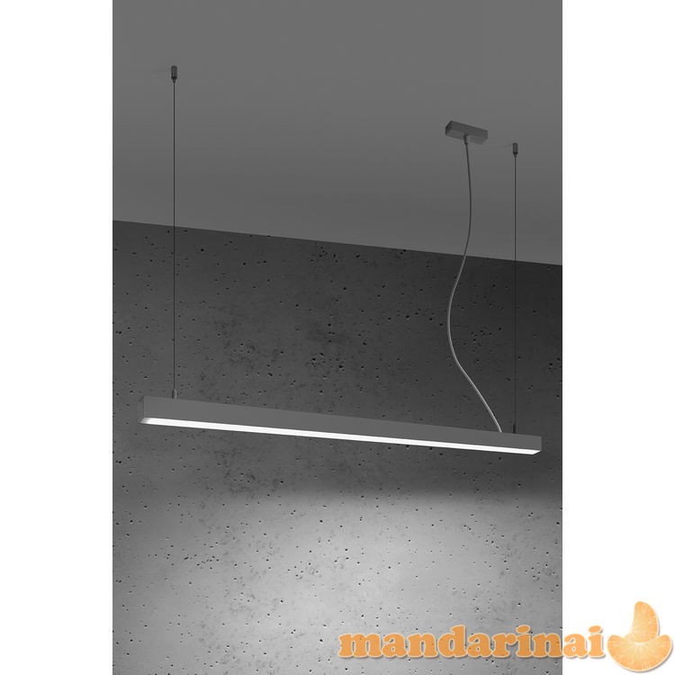 Pakabinama lempa PINNE 117 pilkos spalvos 2