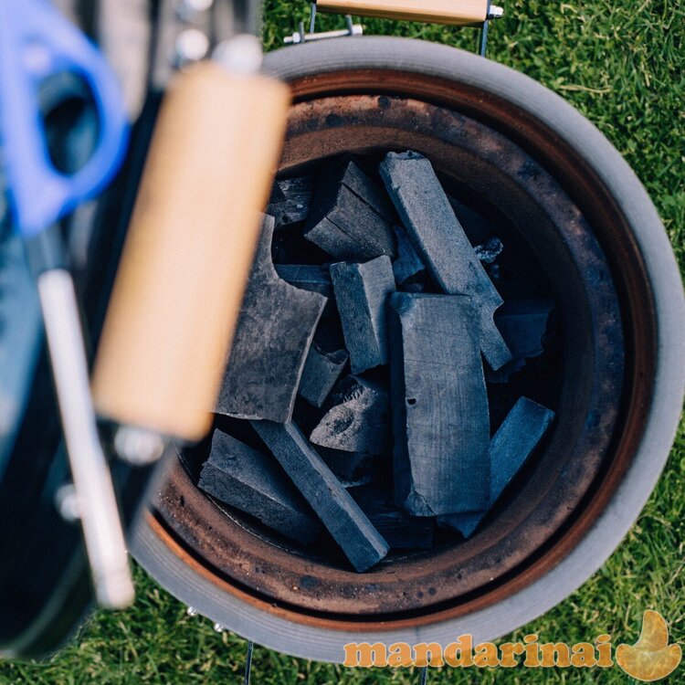 Anglis beržo - 9 kg