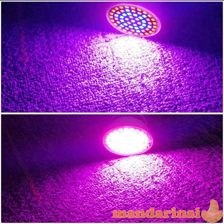 5W Pilno spektro lempa augalams ir daigams