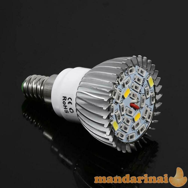 E14 cokolio 12W pilno spektro lempa augalams auginti