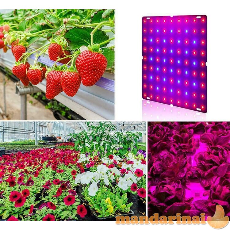 169 LED pakabinama panelė augalų auginimui