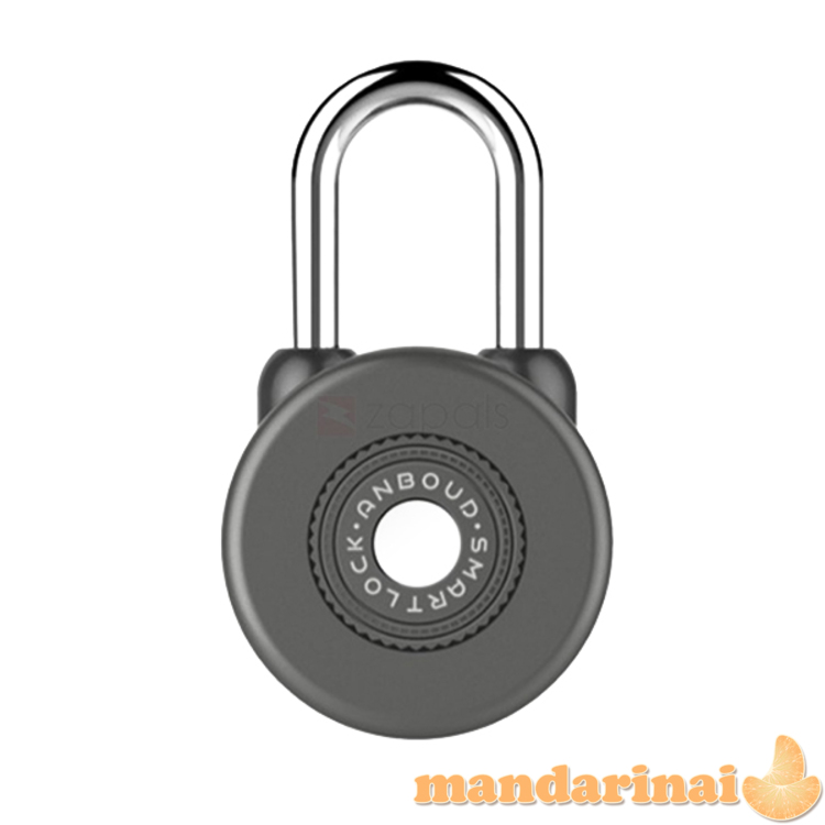 Išmanioji beraktė BLUETOTH spyna