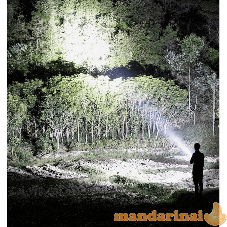 Galingas pakraunamas prožektorius su stovu