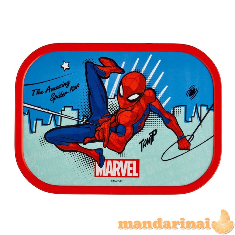 Vaikiška pietų dėžutė  1