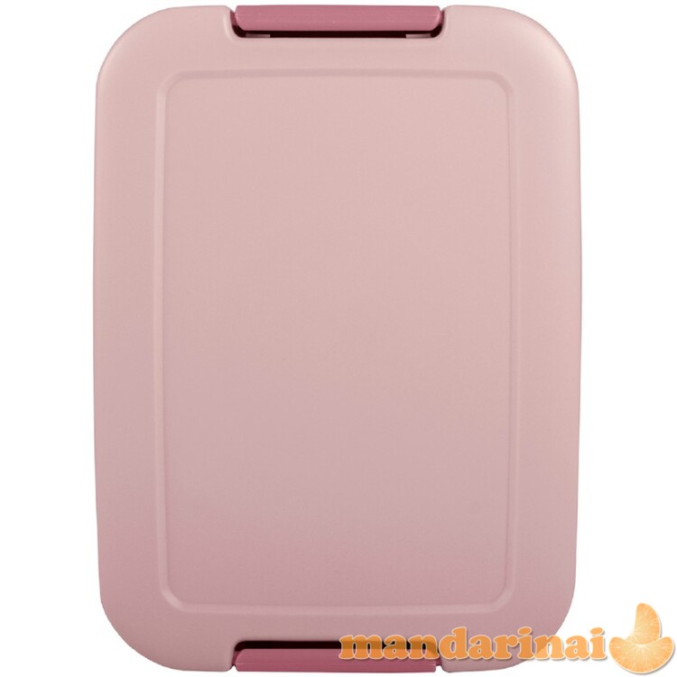 Indas maisto laikymui  1