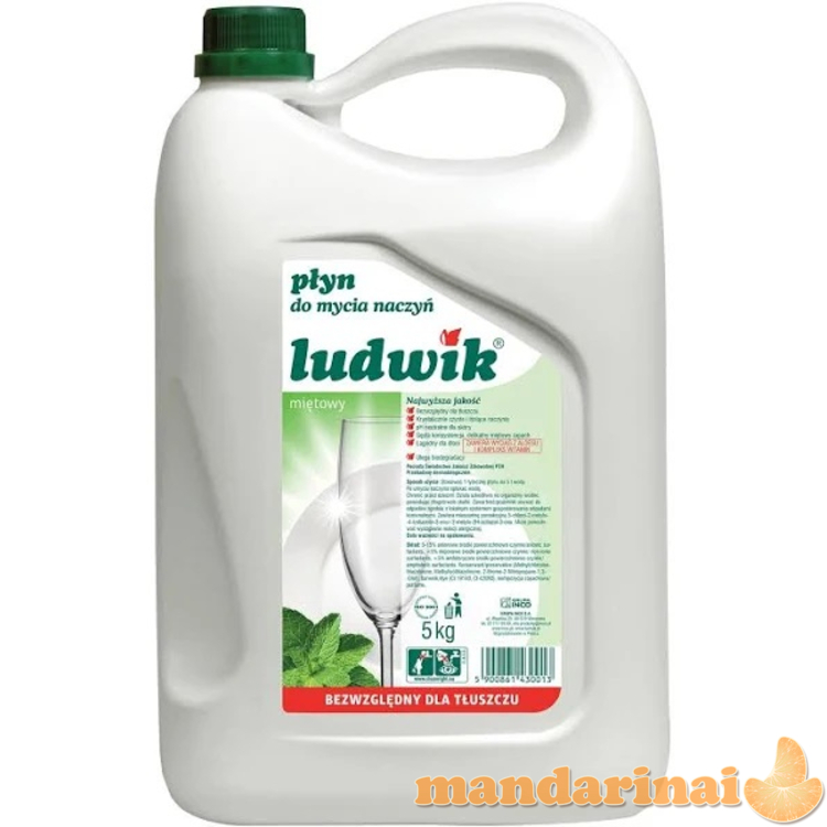 LUDWIK Indaplovės skystis 5L, mėtų 