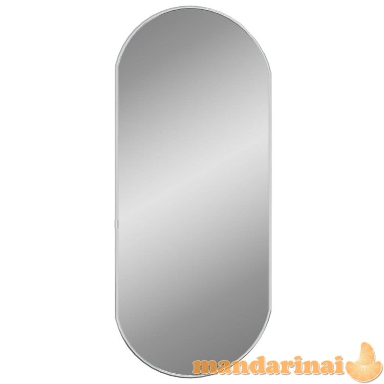 Sieninis veidrodis, sidabrinės spalvos, 70x30cm, ovalo formos