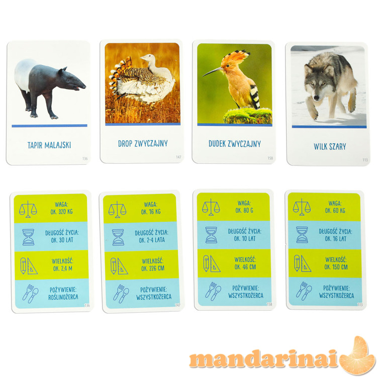 MULTIGRA Žaidimo viršūnė smalsiems 4