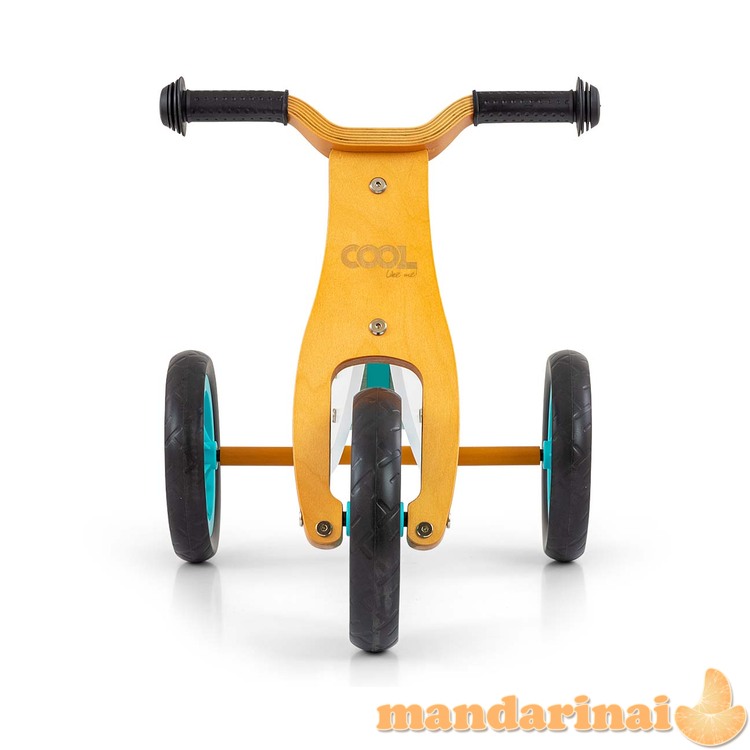 Šauni Classic Mint 2in1 transporto priemonė