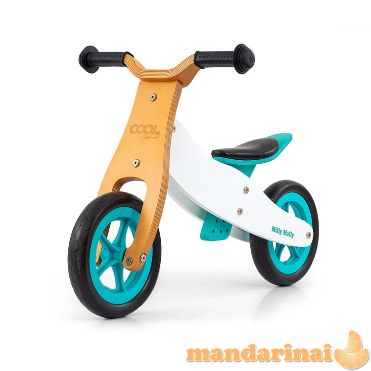 Šauni Classic Mint 2in1 transporto priemonė