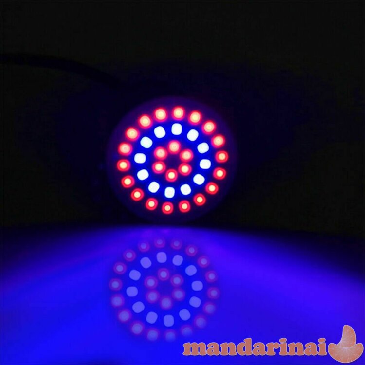 4W Pilno spektro lempa augalams ir daigams