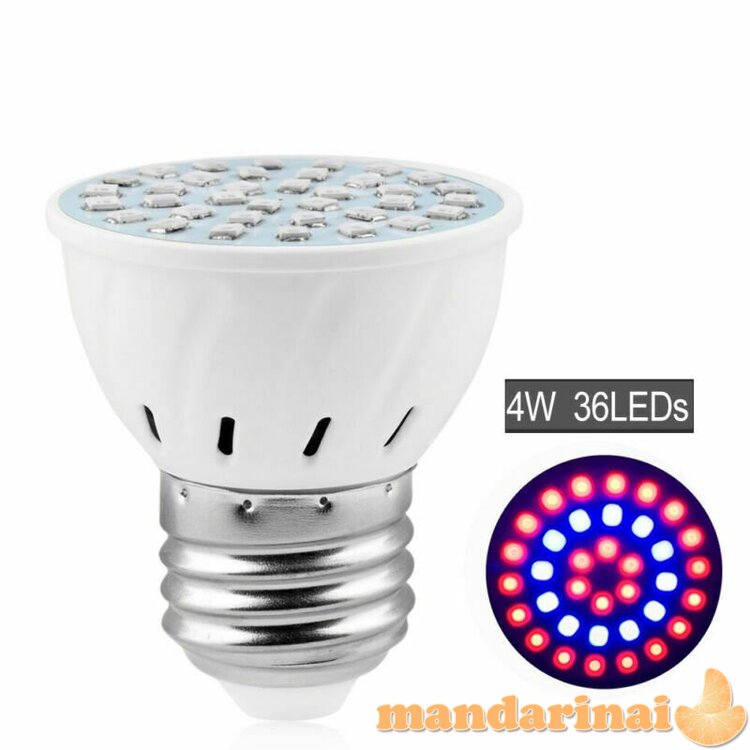 4W Pilno spektro lempa augalams ir daigams