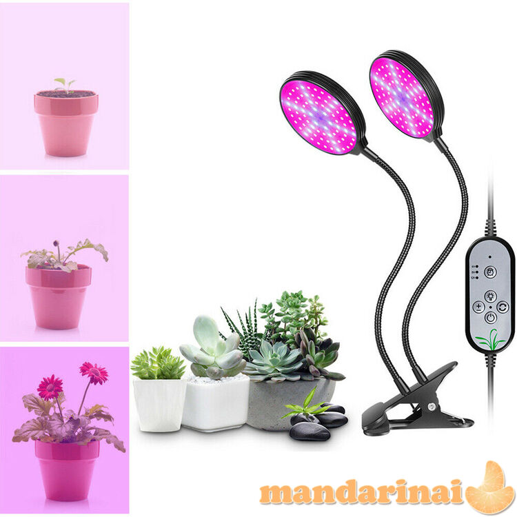 PROGRAMUOJAMA DVIGUBA PILNO SPEKTRO LEMPA AUGALAMS SU TVIRTINIMU