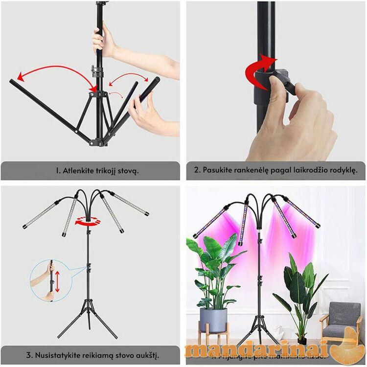 Programuojamas keturgubas šviestuvas augalams su stovu
