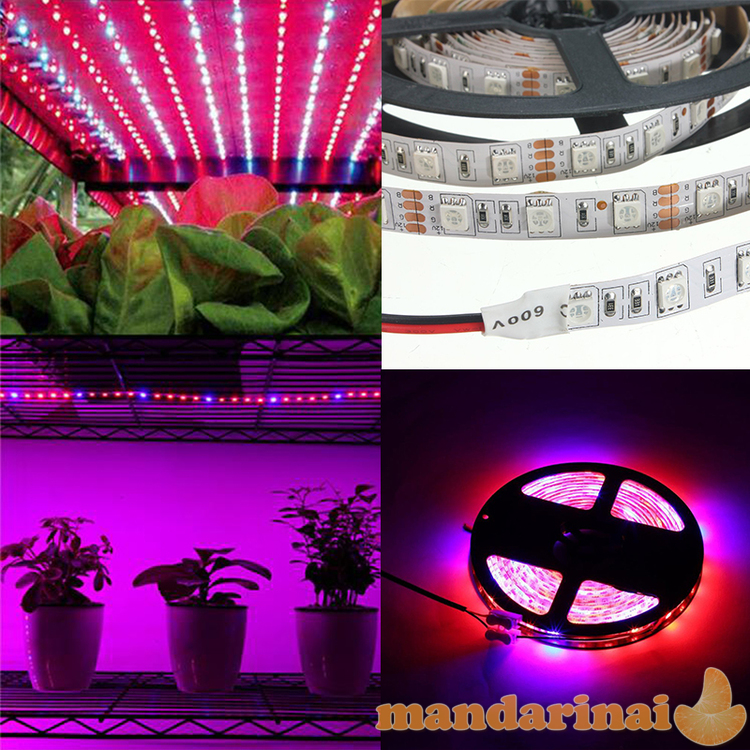 Pilno spektro drėgmei atspari led šviesos juosta augalams auginti su maitinimo šaltiniu